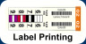 Label Printing Software Systems replaces the manual process of applying individual color labels with the application of a single strip label. 